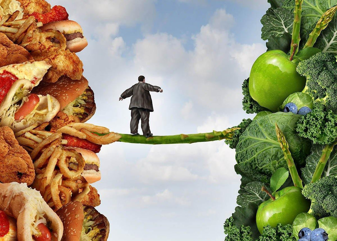 graphic of fat man on tightrope between junk food and health food